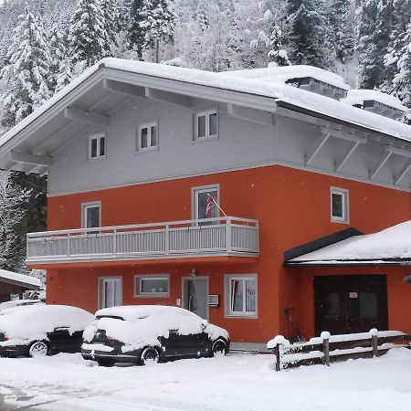 Alpen Appartements Viehhofen - Incl Sommercard Zell Am See วีโฮเฟิน ภายนอก รูปภาพ