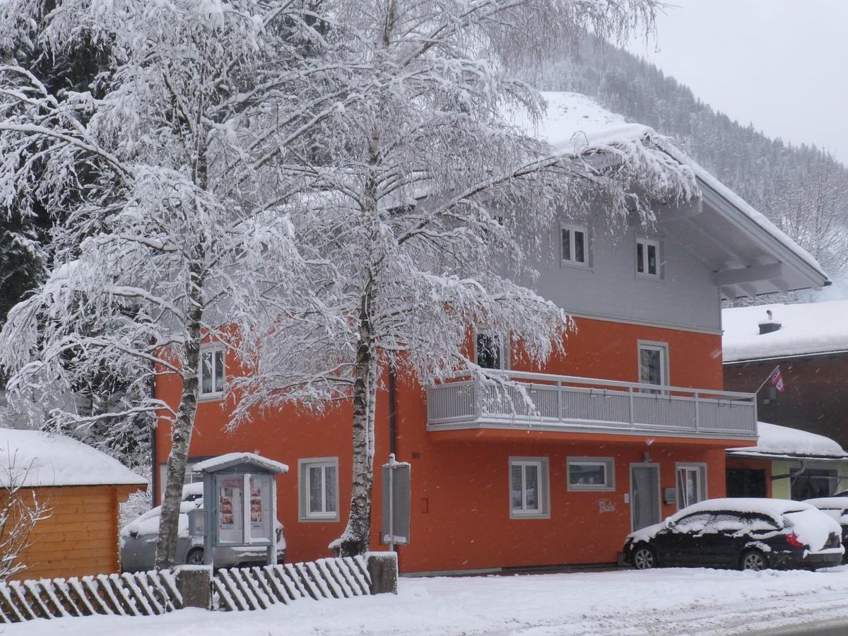Alpen Appartements Viehhofen - Incl Sommercard Zell Am See วีโฮเฟิน ภายนอก รูปภาพ