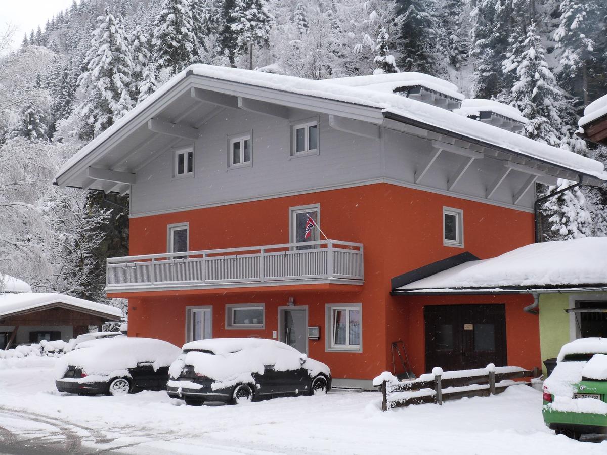 Alpen Appartements Viehhofen - Incl Sommercard Zell Am See วีโฮเฟิน ภายนอก รูปภาพ