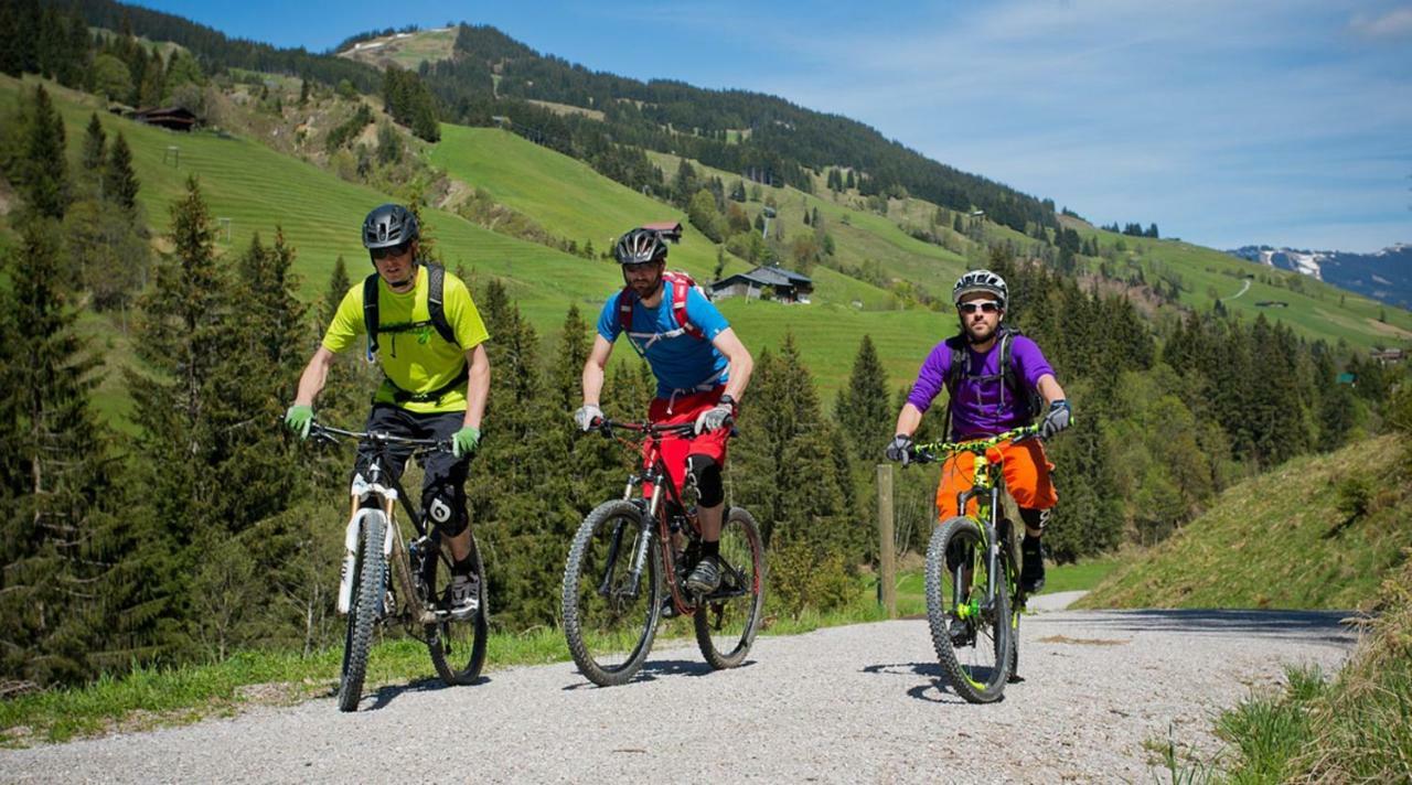 Alpen Appartements Viehhofen - Incl Sommercard Zell Am See วีโฮเฟิน ภายนอก รูปภาพ